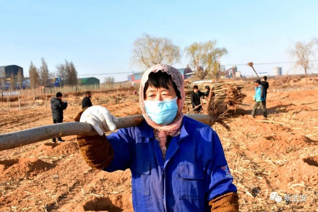 十大造林绿化工程来啦！武安将成大花园！ 趣向馆